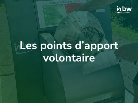 Illustration de l'actualité - cliquer pour agrandir