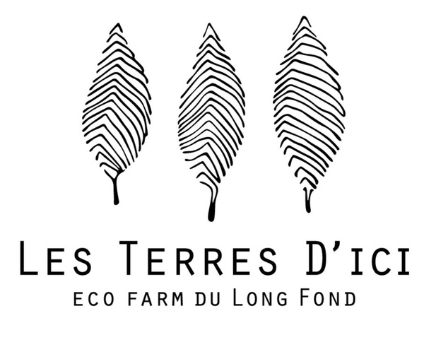 Logo : Les Terres d'Ici